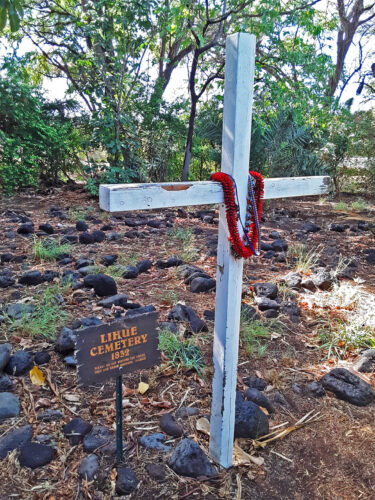 Send your best photos from Maui County to mauiphotos@mauinews.com for a chance to see them featured on our website and in our weekly print edition.